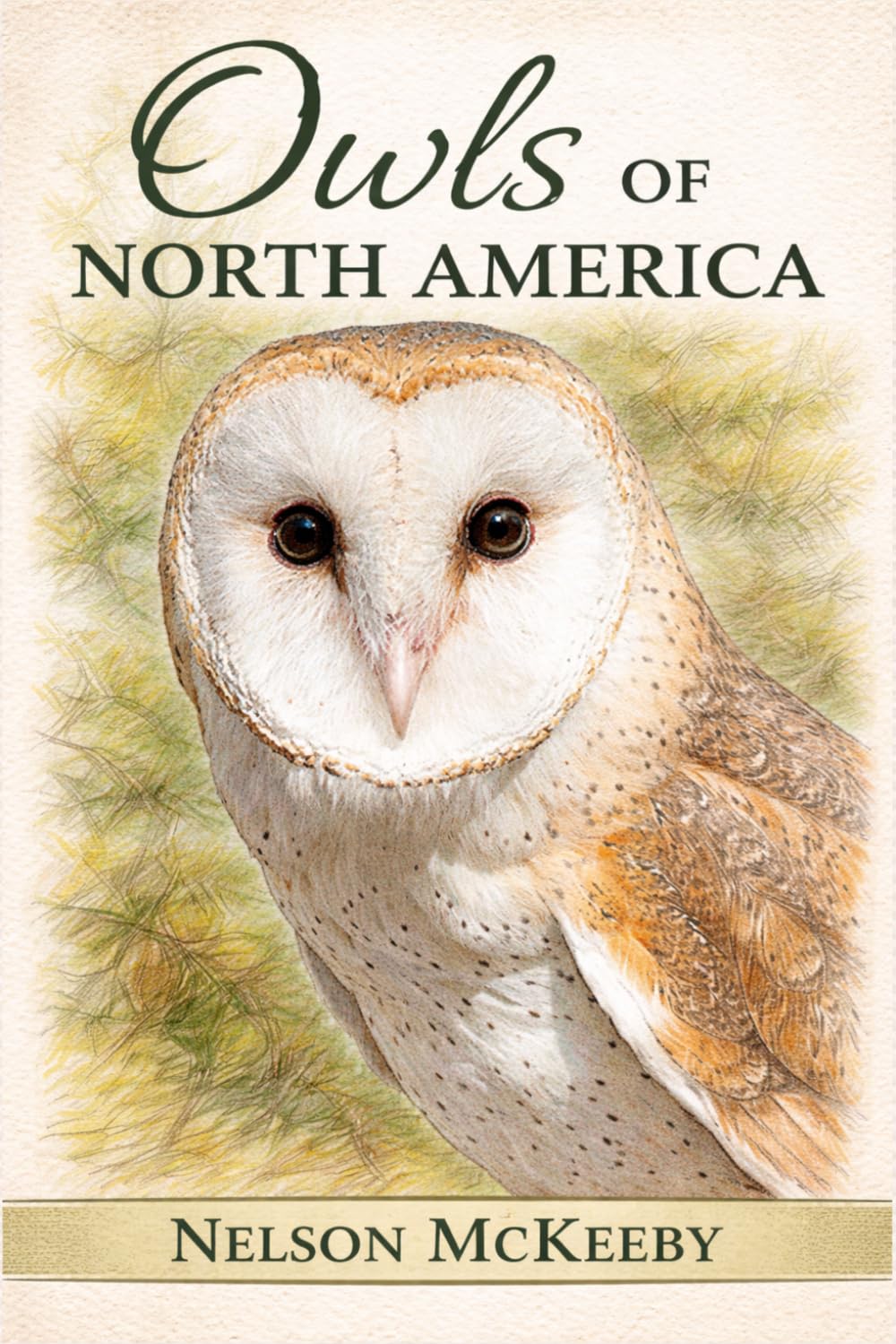 Owls of North America